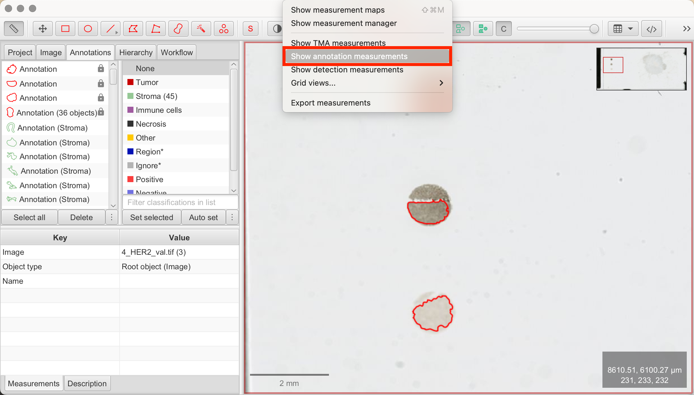 Show Annotation Measurements