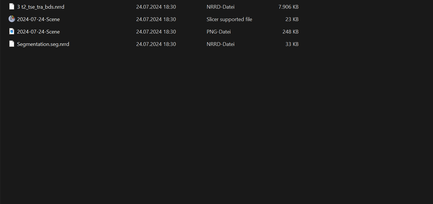 Save Segmentation Directory