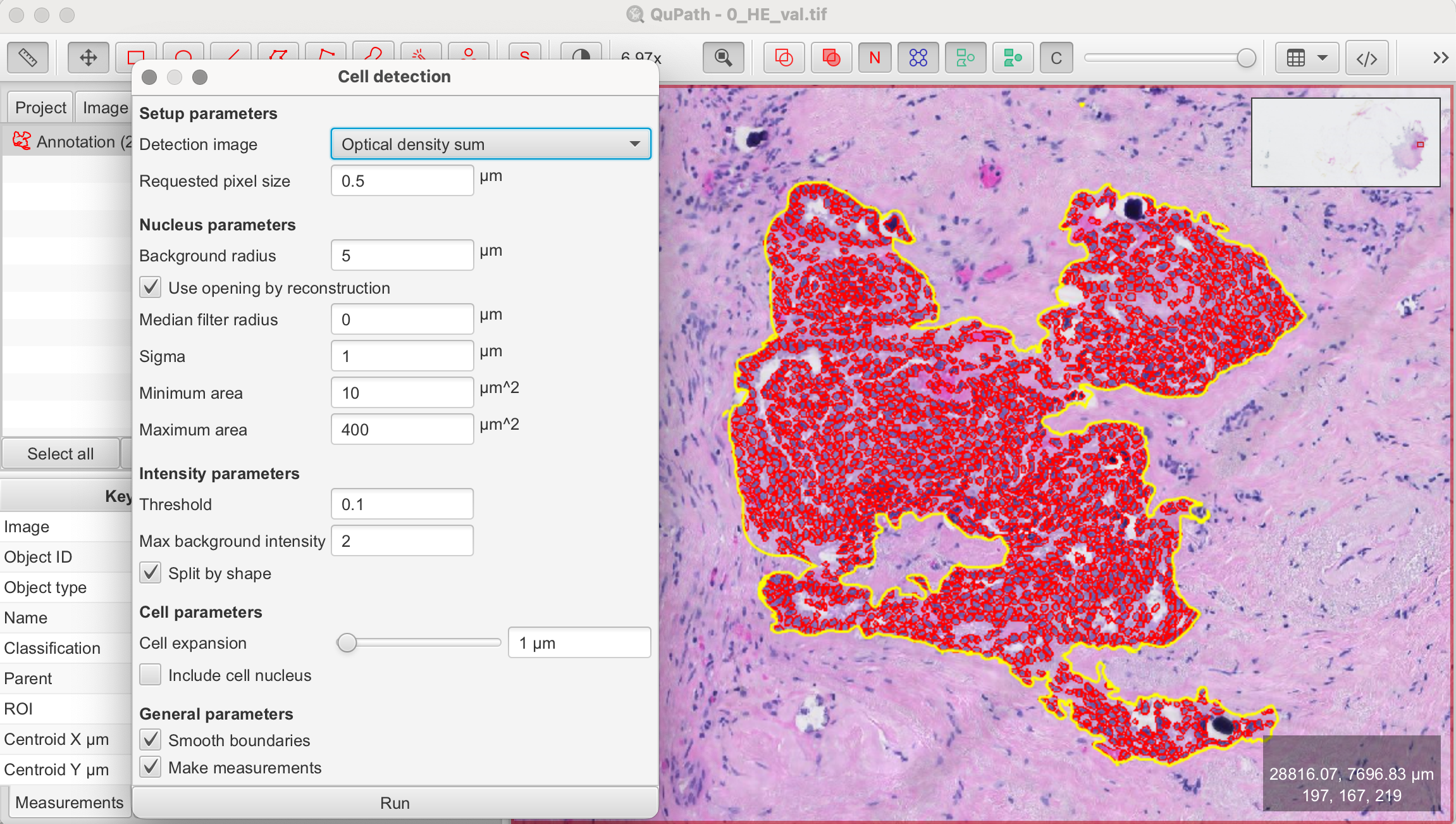 Set cell detection parameters