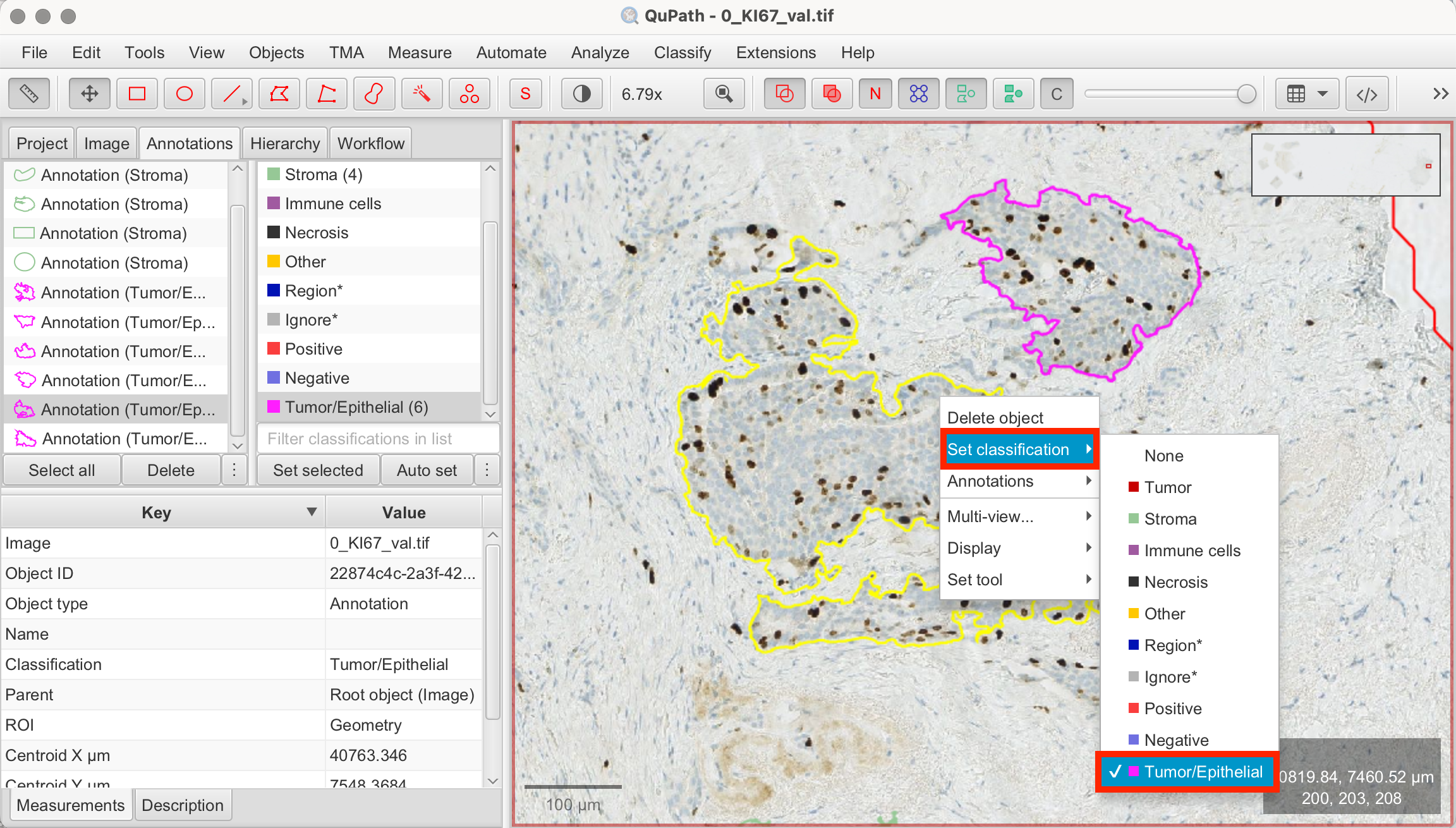 Classify training annotations