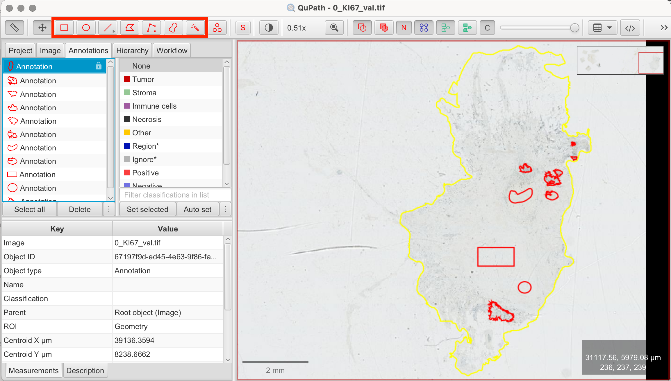 Draw training annotations