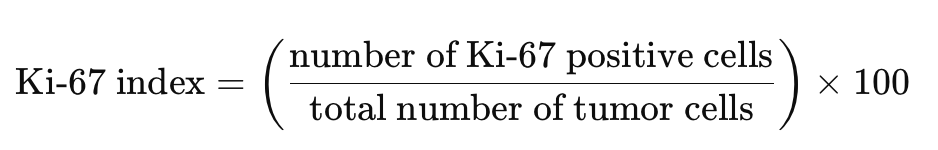 Ki-67 index