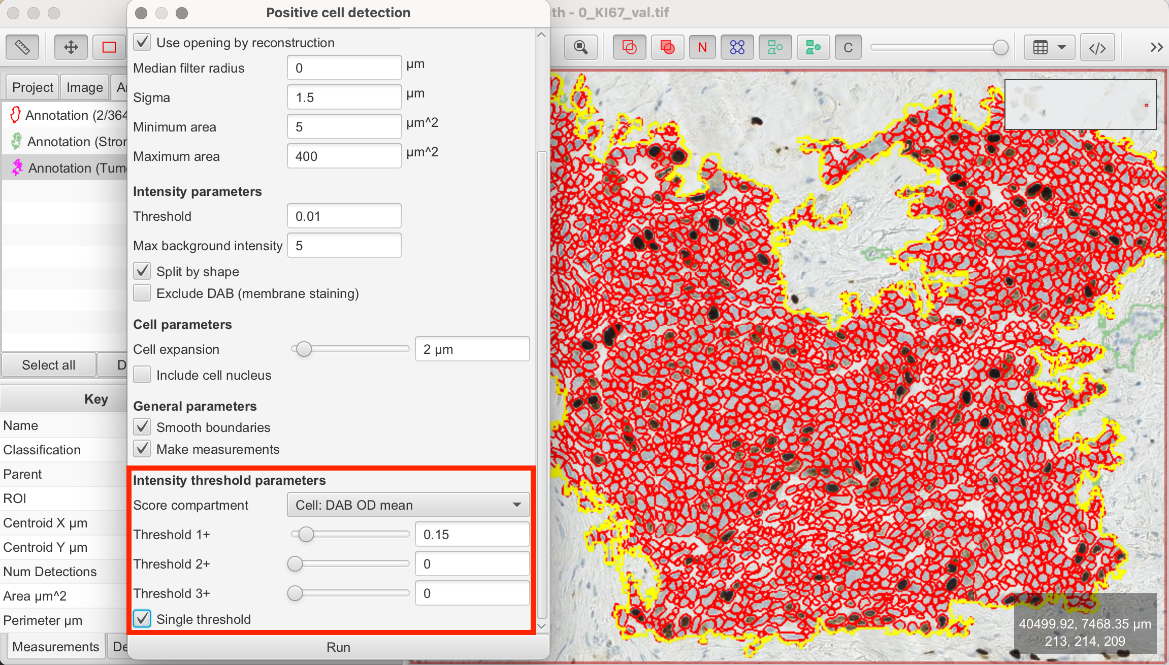 Set positive cell detection parameters