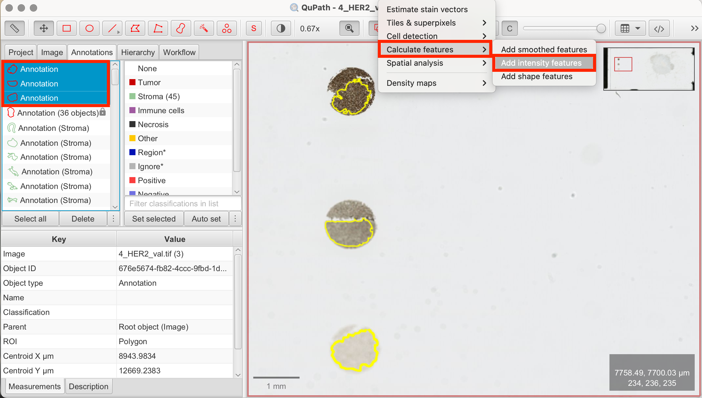 Add intensity features for reference dots