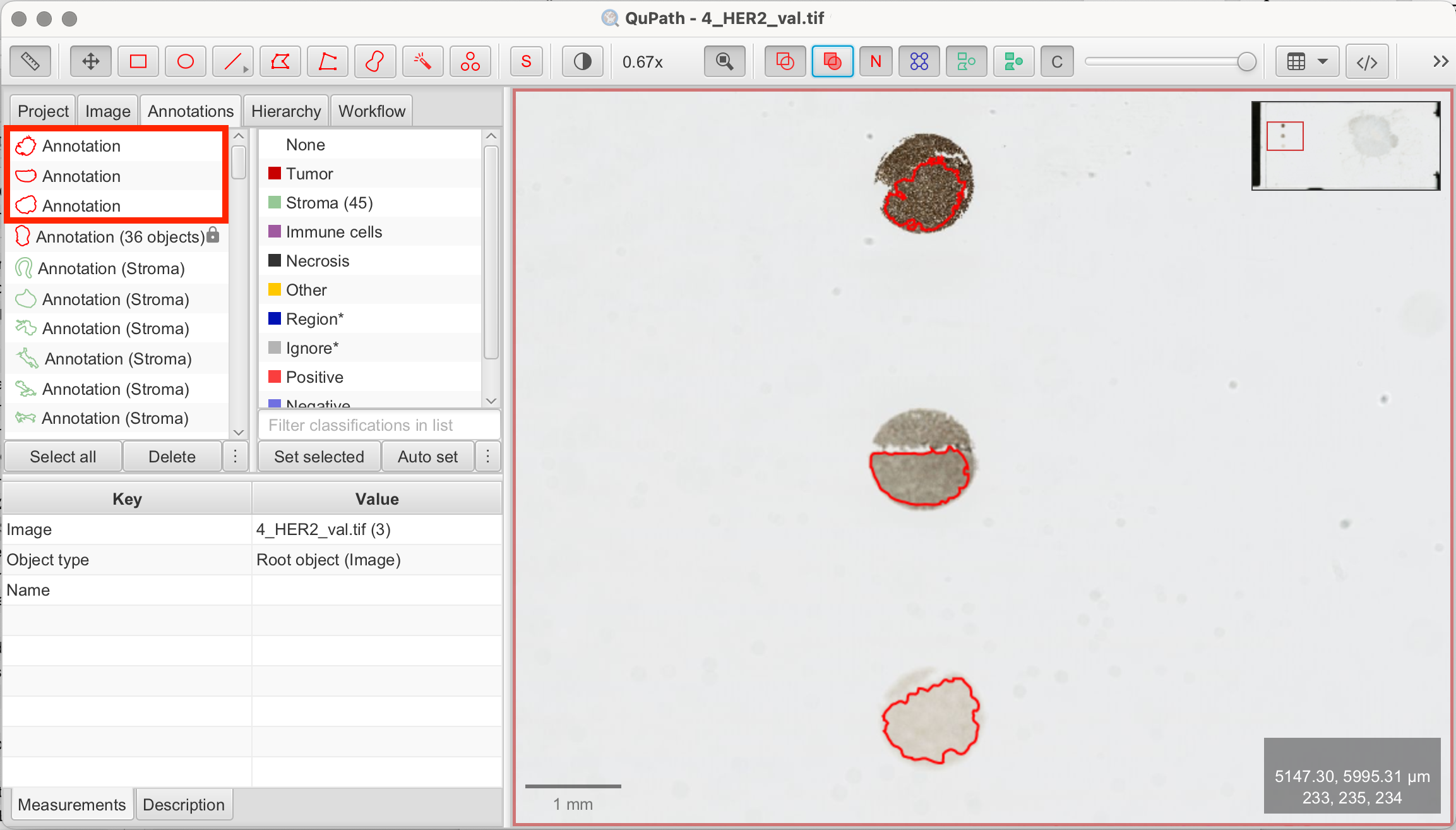 Draw annotations for reference dots