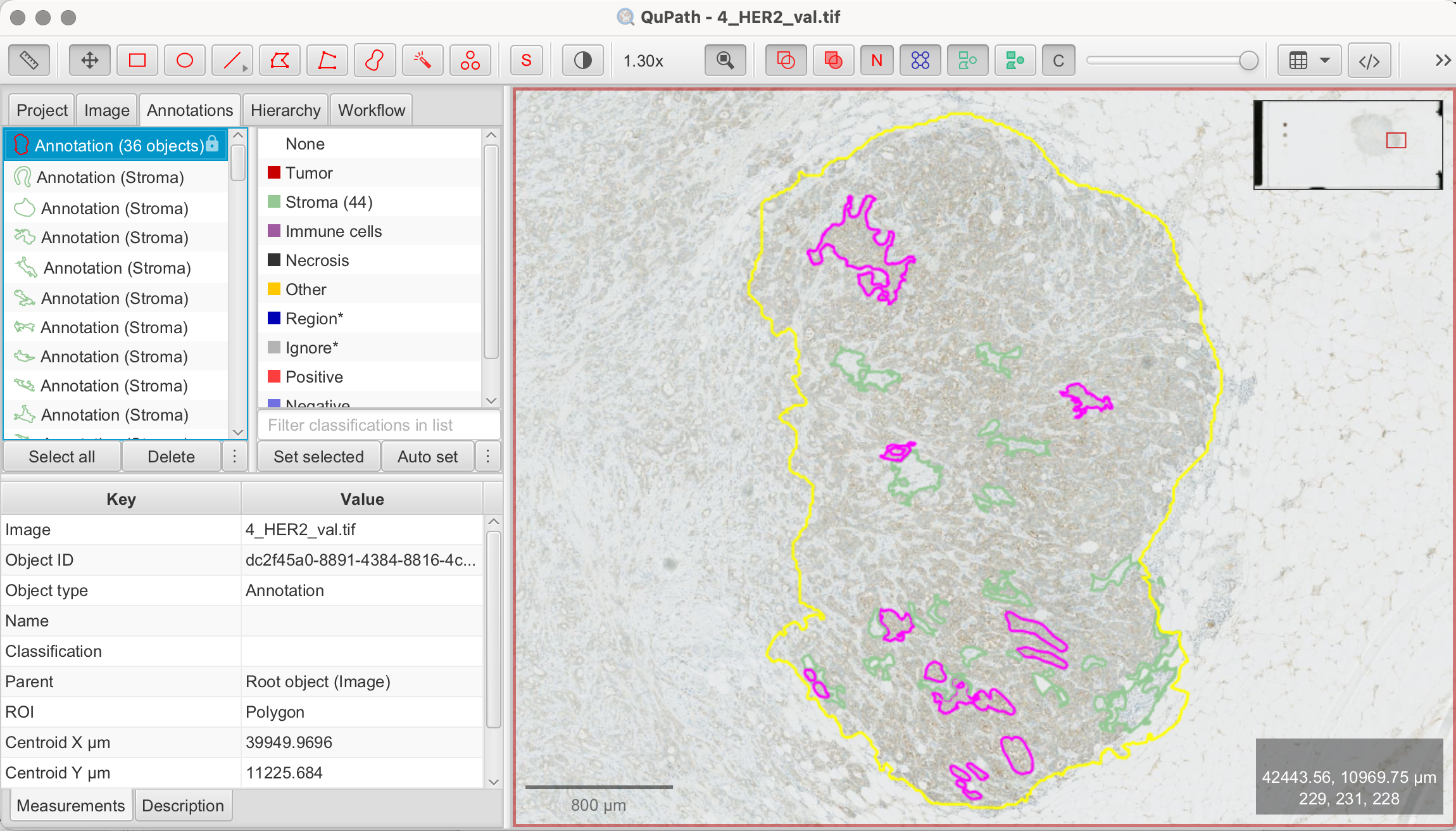 Draw training annotations